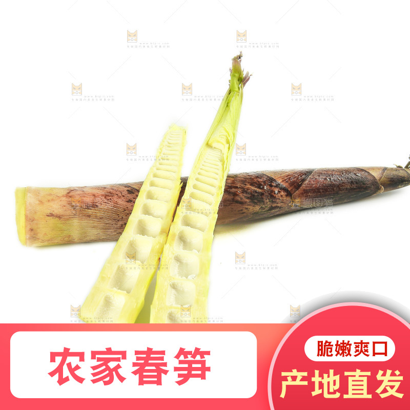 白底上的竹笋