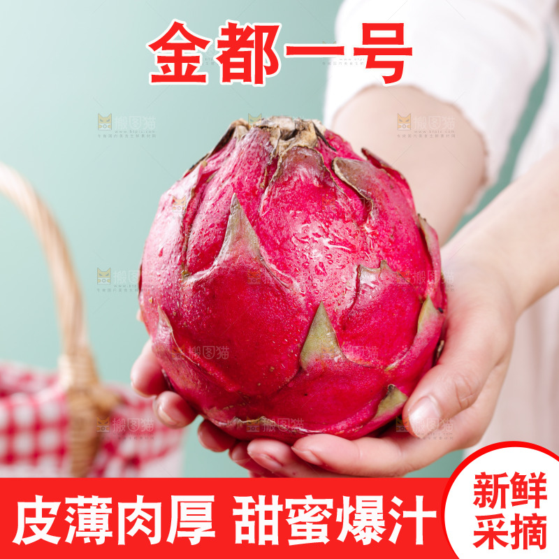 手里捧着火龙果