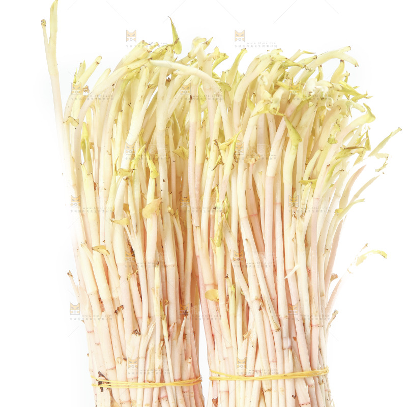 白底上放着折耳根嫩芽