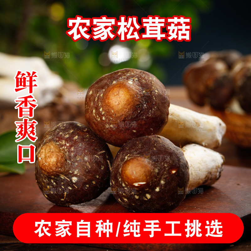 木板上放着松茸菇