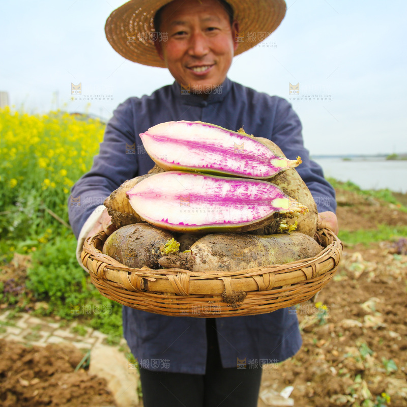 手里端着一篮冰激凌水果萝卜
