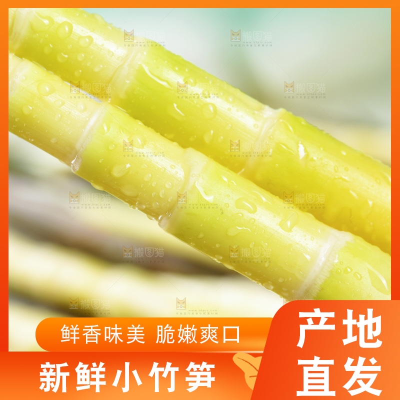 新鲜的小竹笋