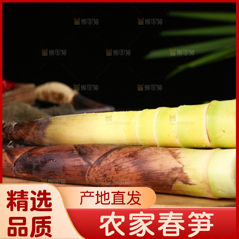 木底上的雷竹笋