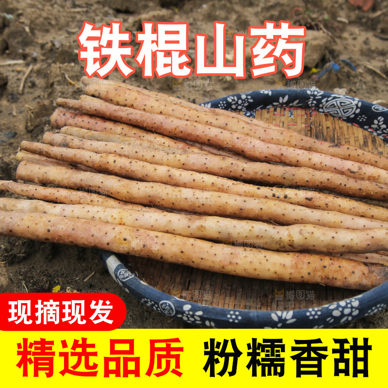 篮子里装着山药