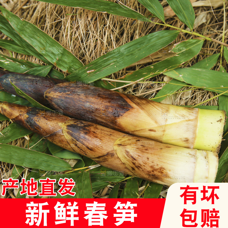 草地上的雷笋