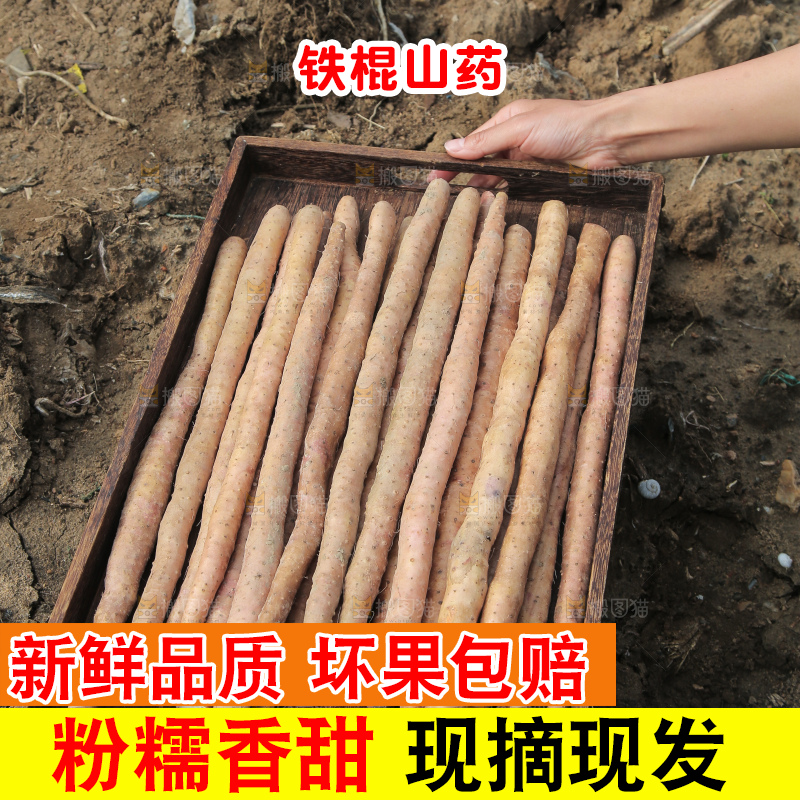 手里端着一盘铁杆山药