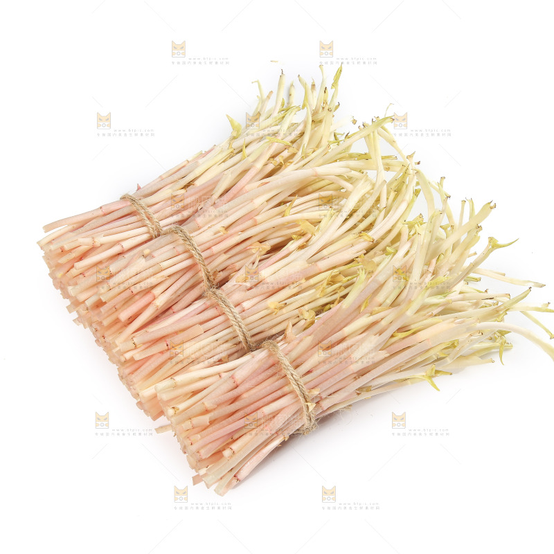 白底上的鱼腥草嫩芽