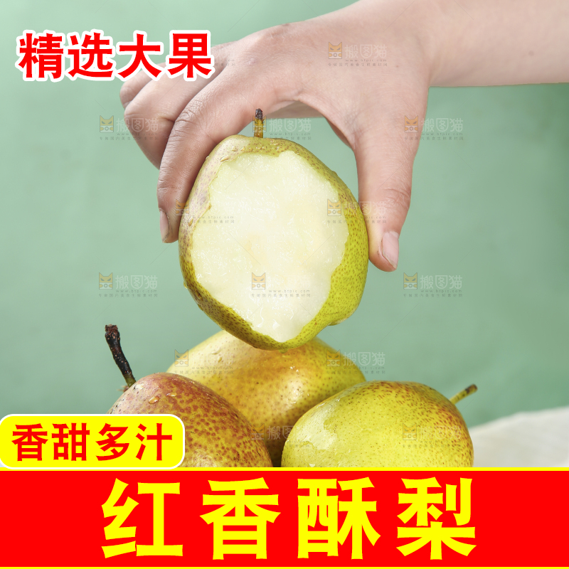 手里捧着陕西红香酥梨
