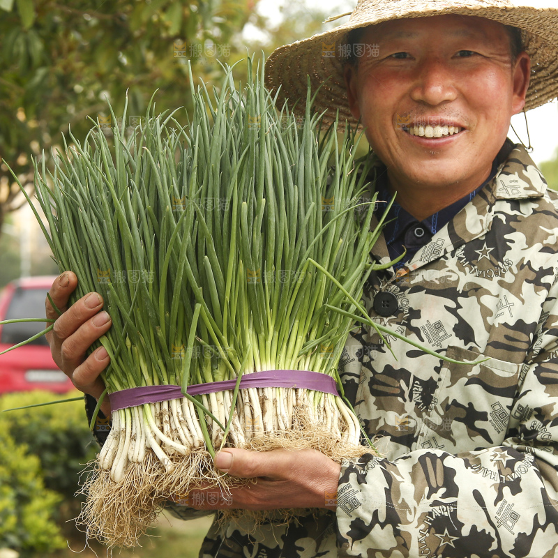 手里抱着小葱