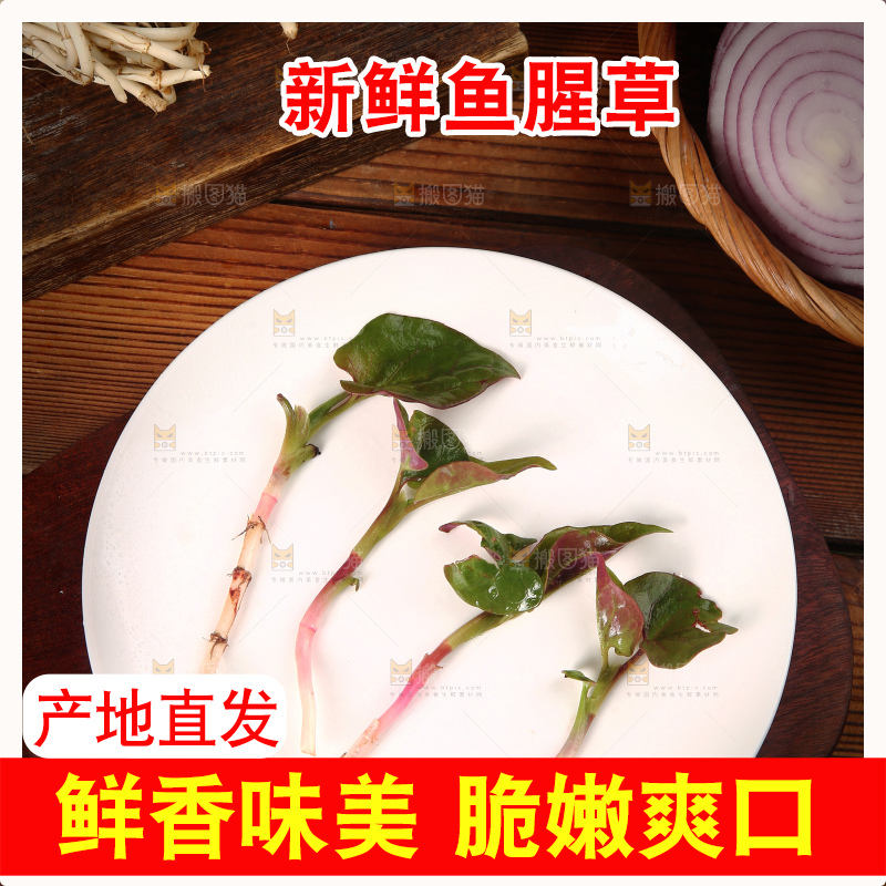 鲜嫩折耳根