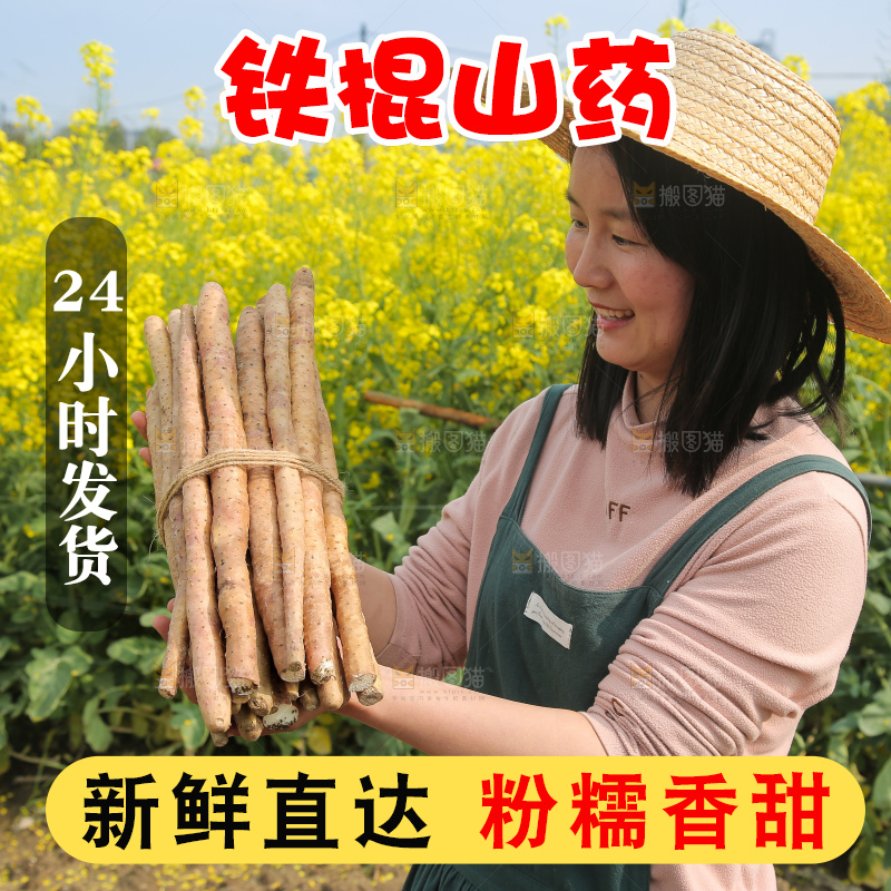 手里拿着一捆铁棍山药