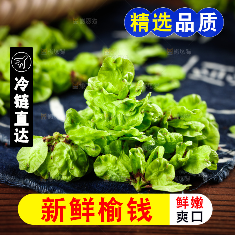 木底上的榆钱