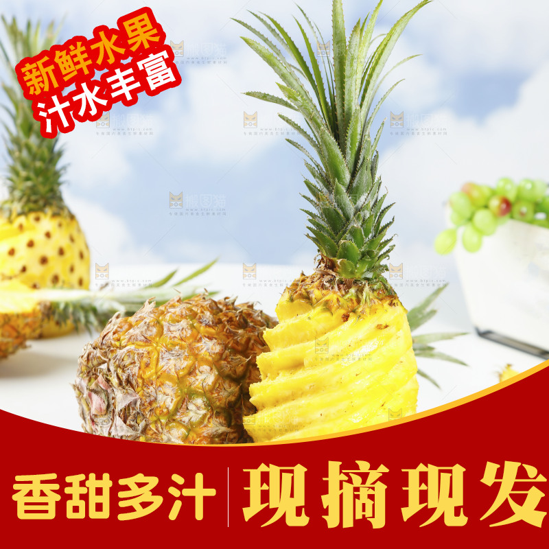 木底上的广东徐闻菠萝