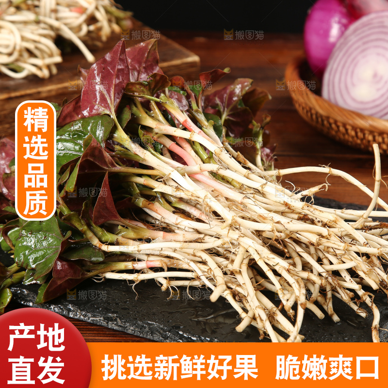 黑石板上放着鱼腥草