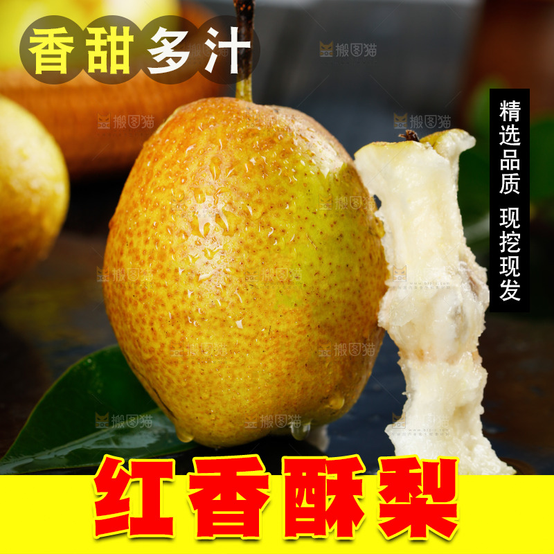 黑底上的香酥梨
