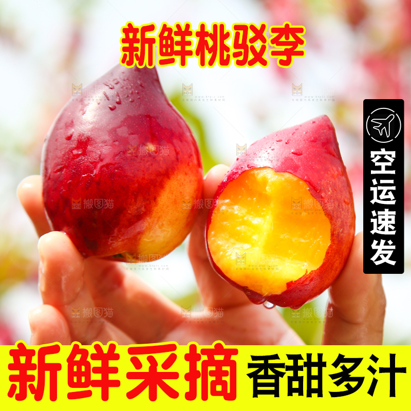 手里拿着油桃