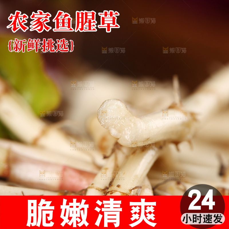 鲜嫩折耳根