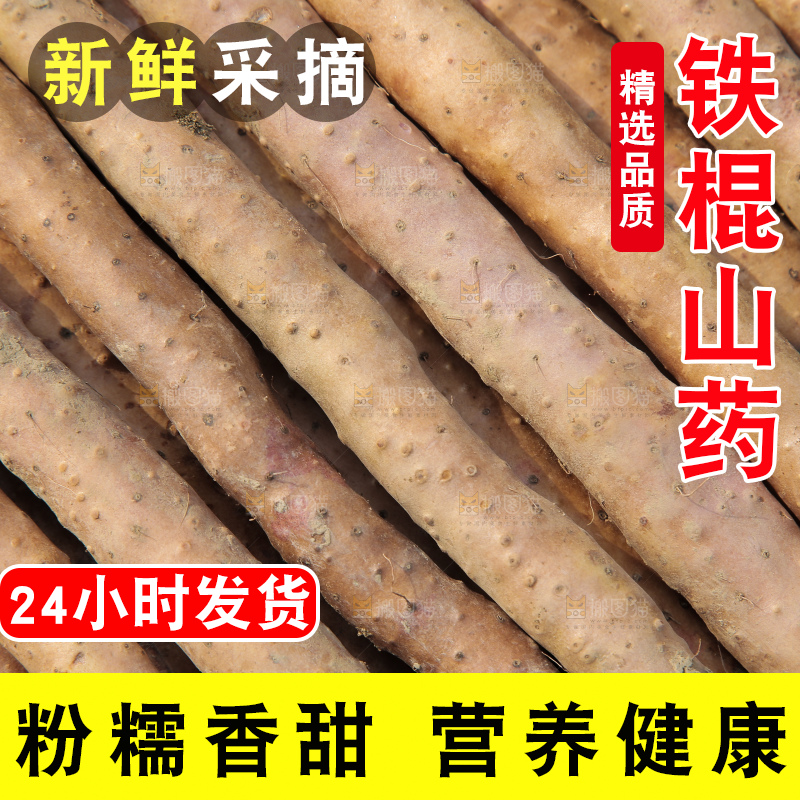 一盘铁棍山药