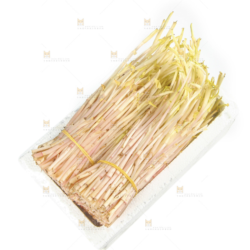 一箱新鲜鱼腥草嫩芽