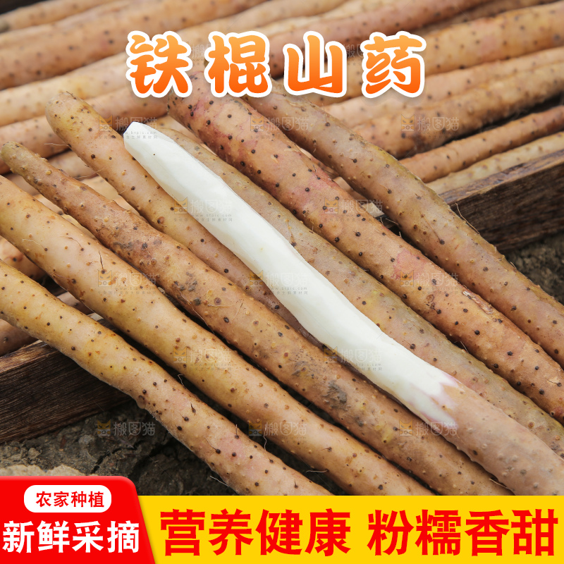新鲜的铁棍山药