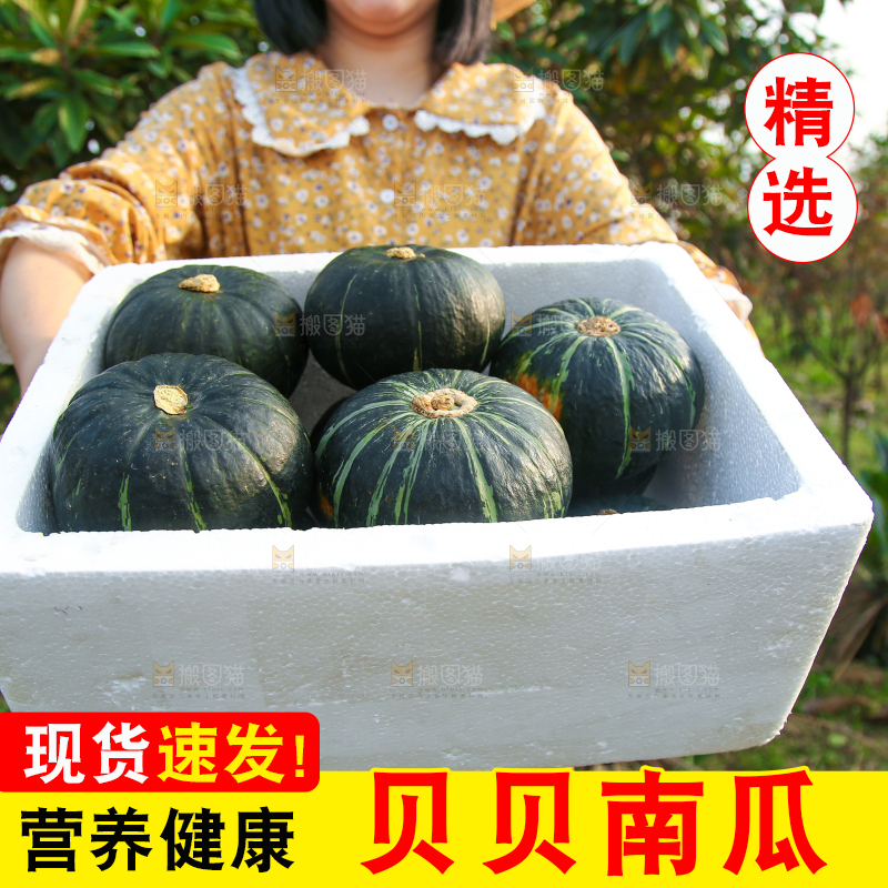 一箱贝贝小南瓜