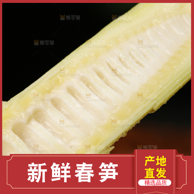 手里拿着切开的雷笋
