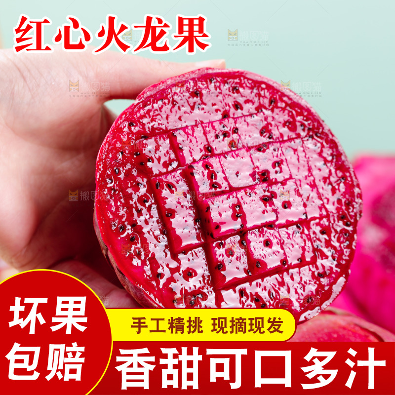 手里拿着红心火龙果