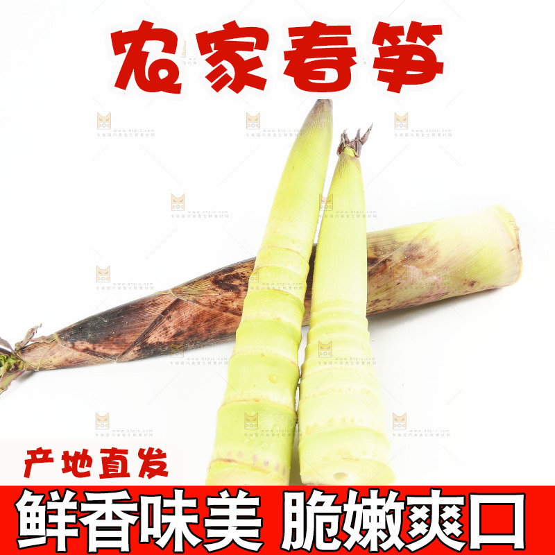 白底上摆放着春雷笋
