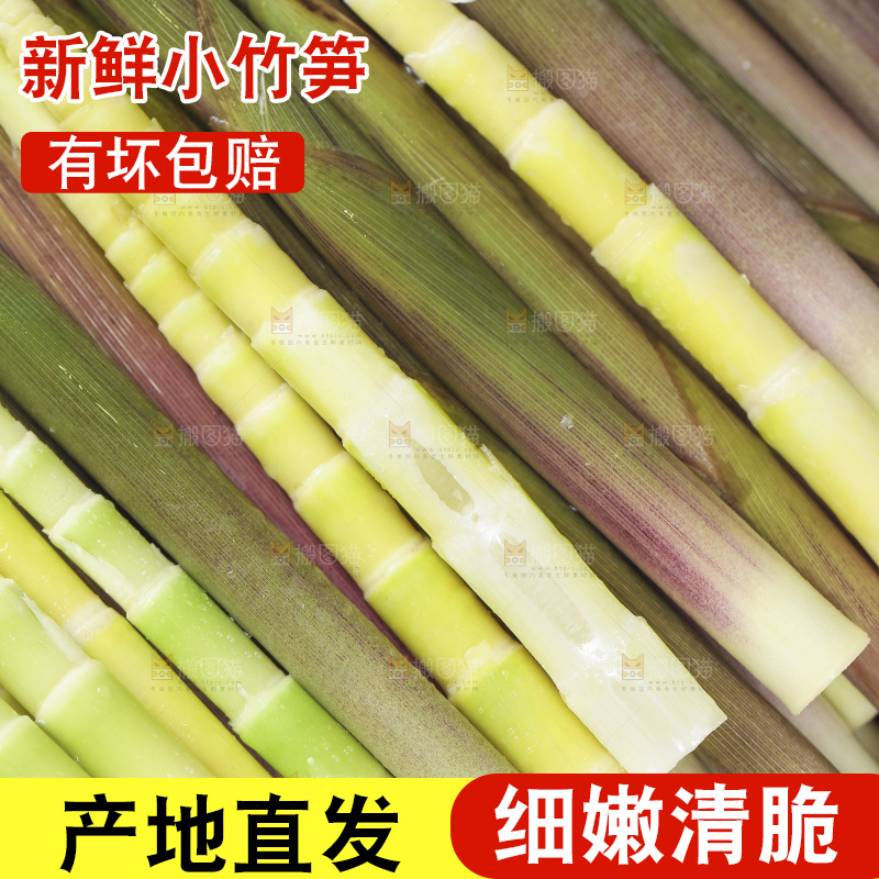 新鲜的小竹笋