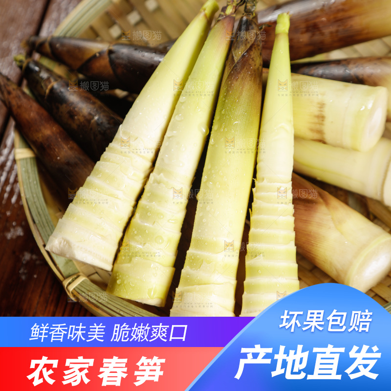 一篮春雷笋
