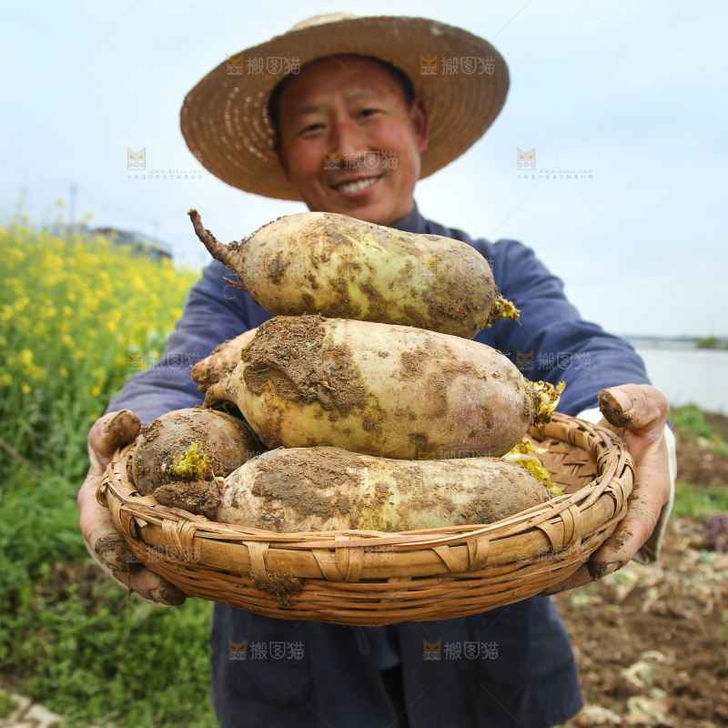 手里端着一篮冰激凌水果萝卜