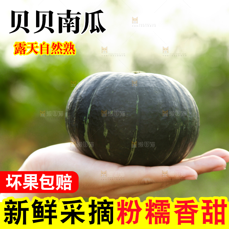 手里拿着贝贝小南瓜