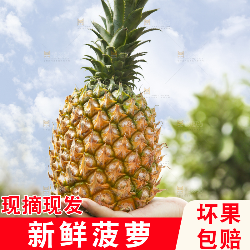 手里拿着菠萝