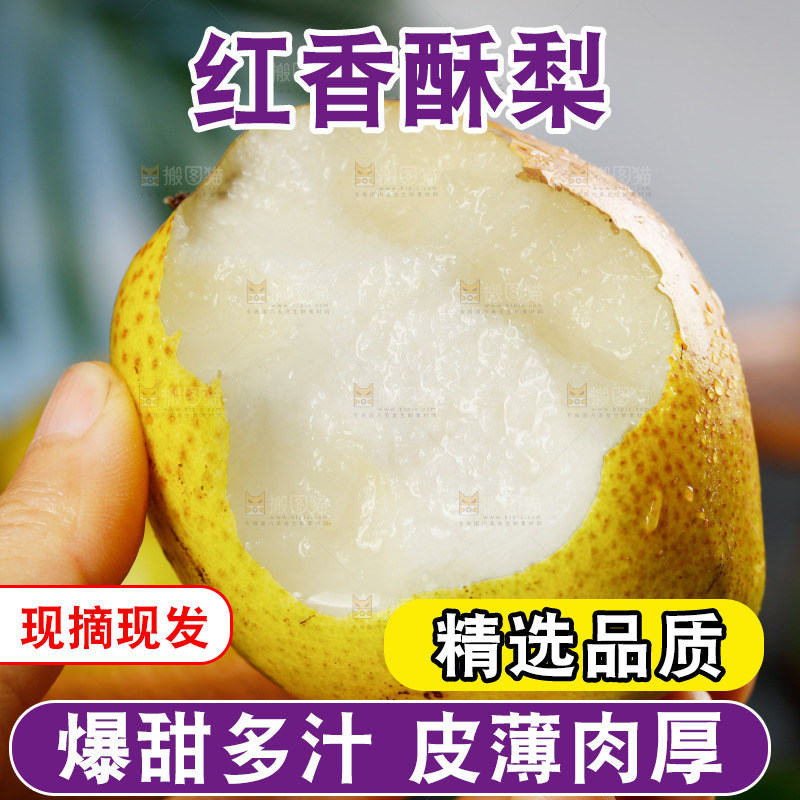 手里拿着红酥梨