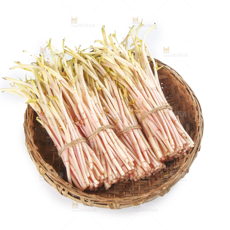 一篮折耳根嫩芽
