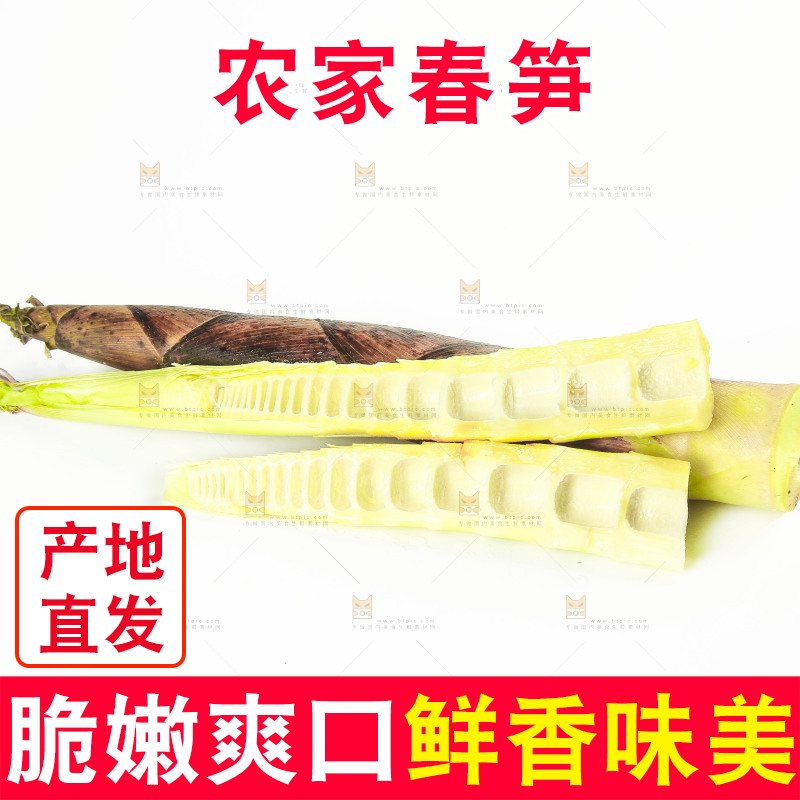 白底上的竹笋