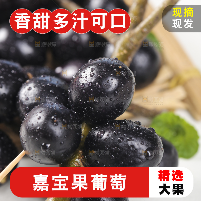 新鲜的嘉宝果树葡萄