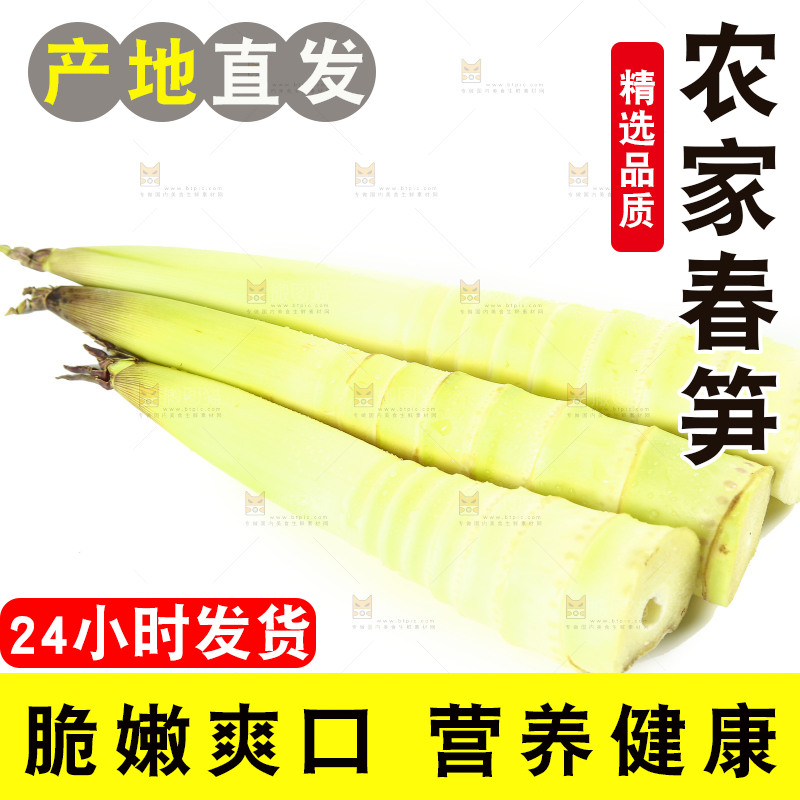 白底上摆放着春雷笋