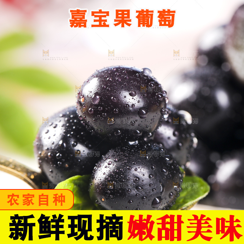 勺子舀着嘉宝果