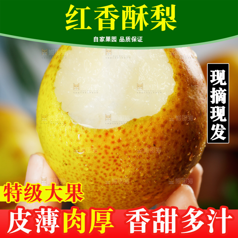 手里拿着红酥梨