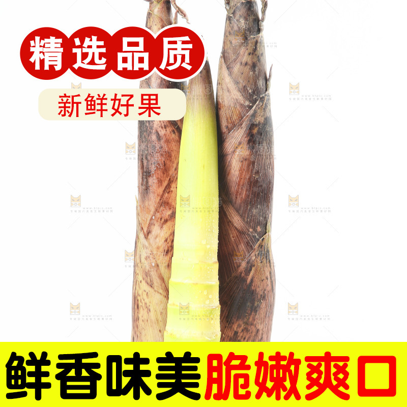 白底上摆放着春雷笋