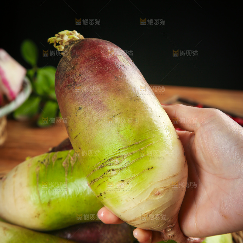 手里拿着冰激凌萝卜