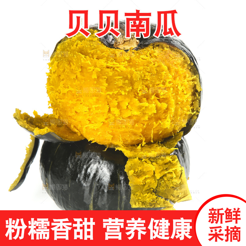 白底上的贝贝小南瓜