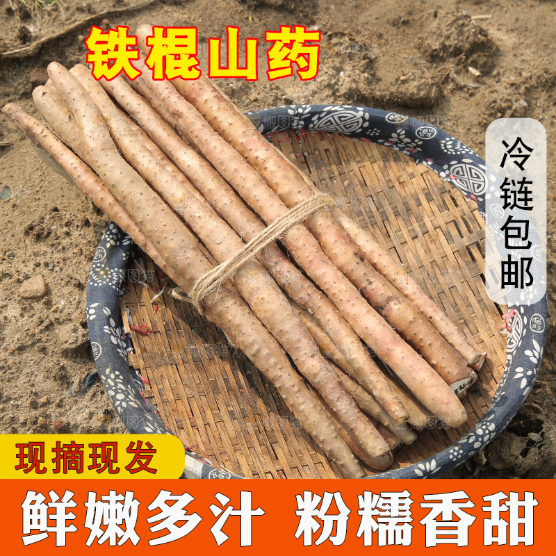 一捆铁棍山药