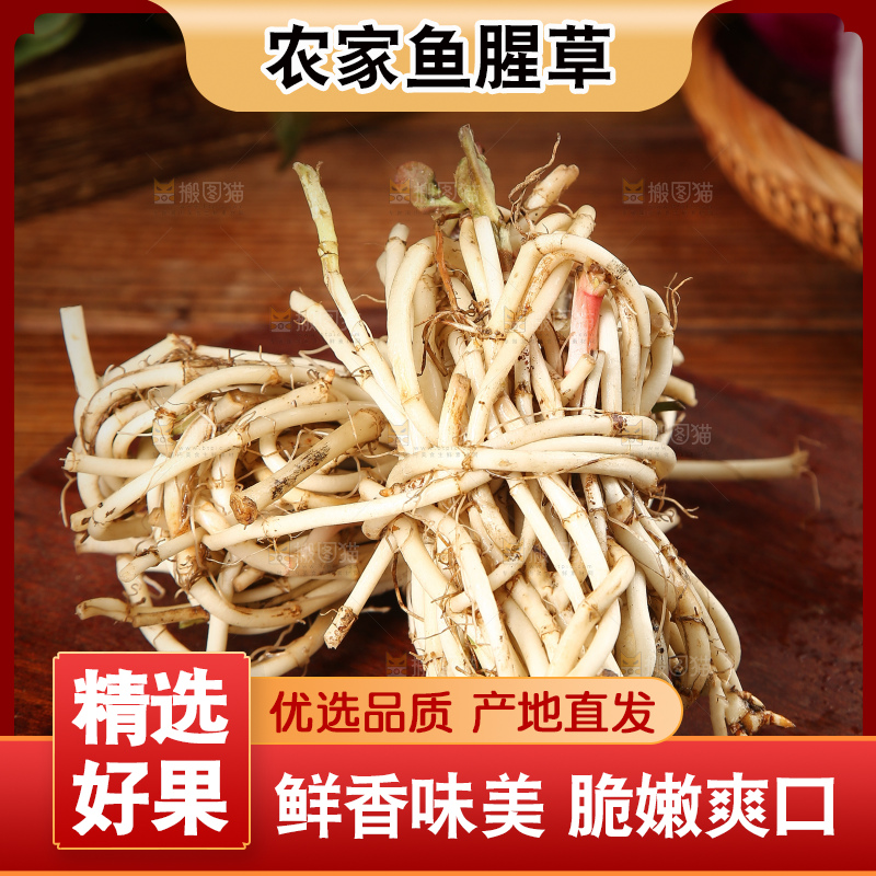 黑石板上放着鱼腥草