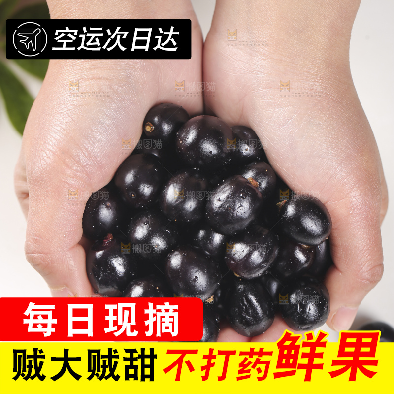 手里捧着嘉宝果