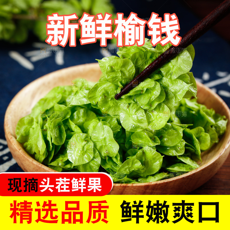筷子上夹着榆钱