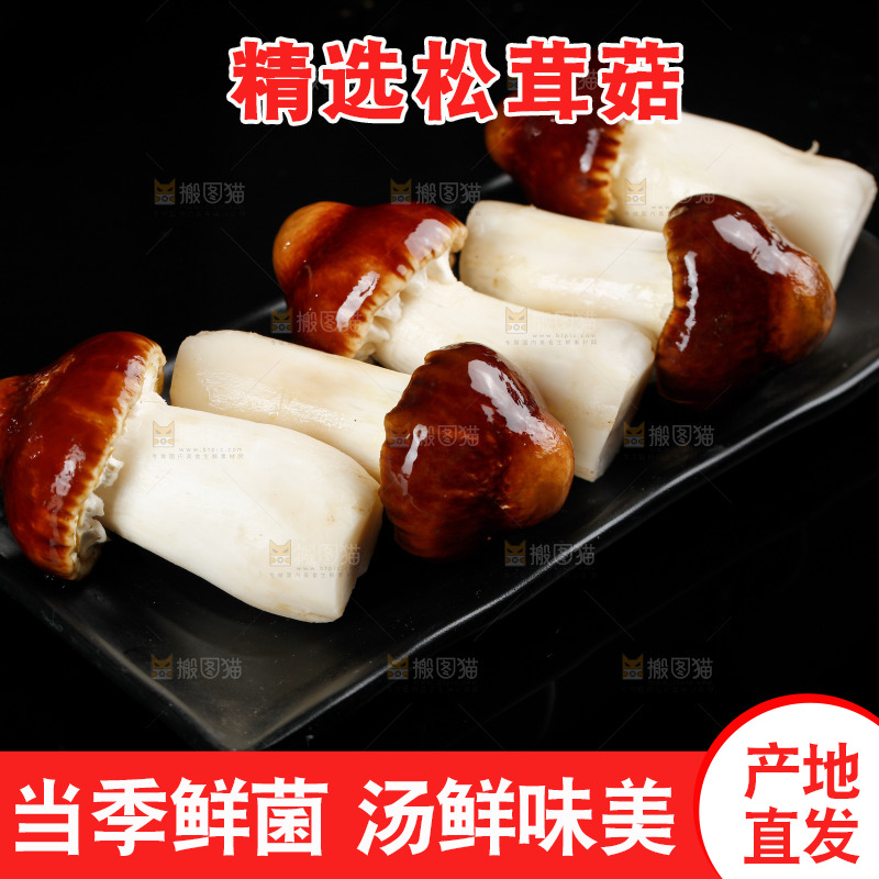 黑底上放着一盘赤松茸