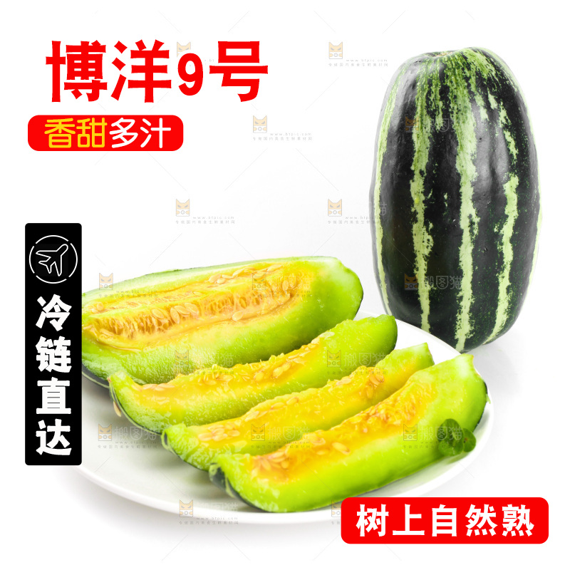 一盘切块的博洋9号