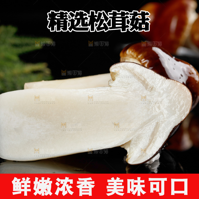 黑底上的云南新鲜赤松茸